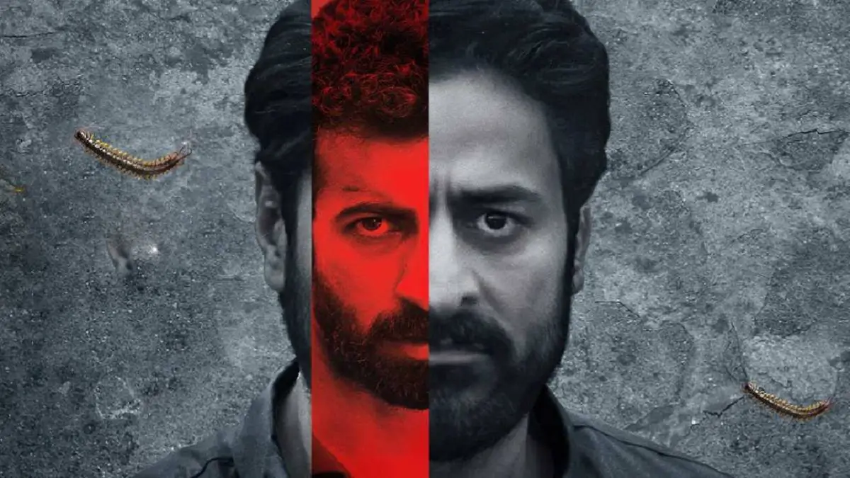 Description of the pic