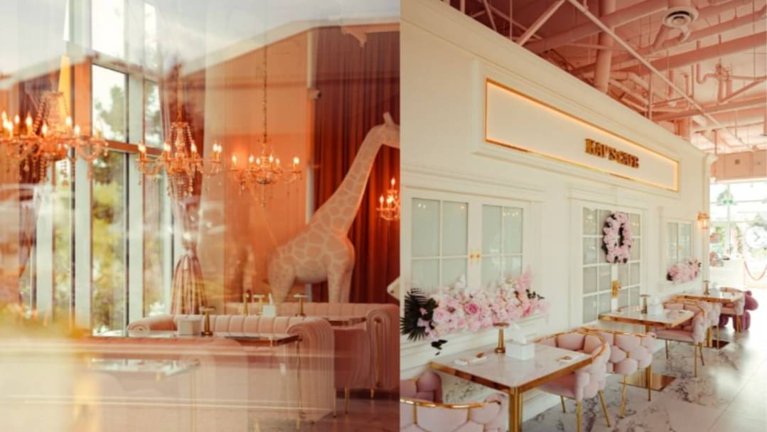 Description of the pic