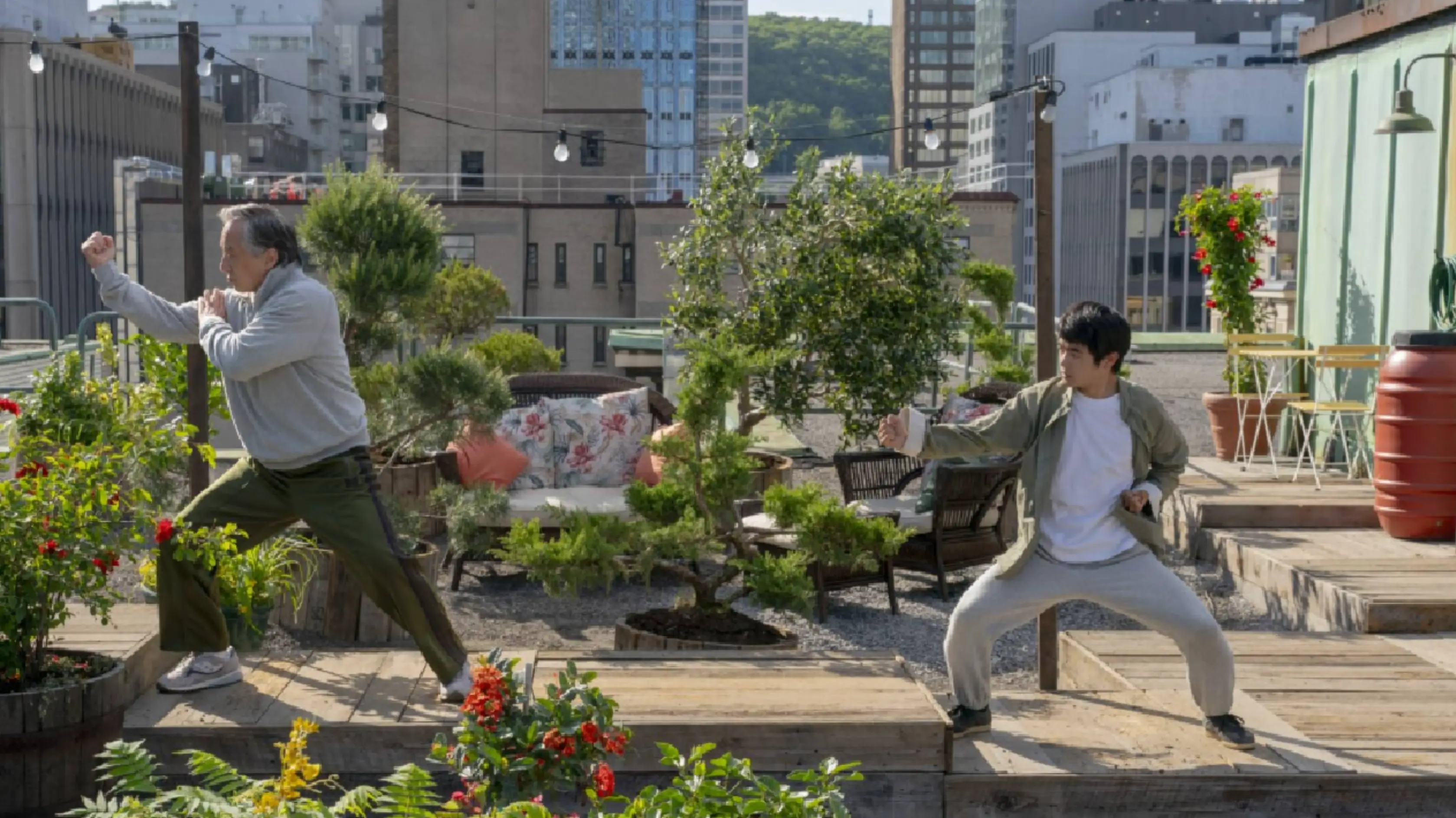 Description of the pic