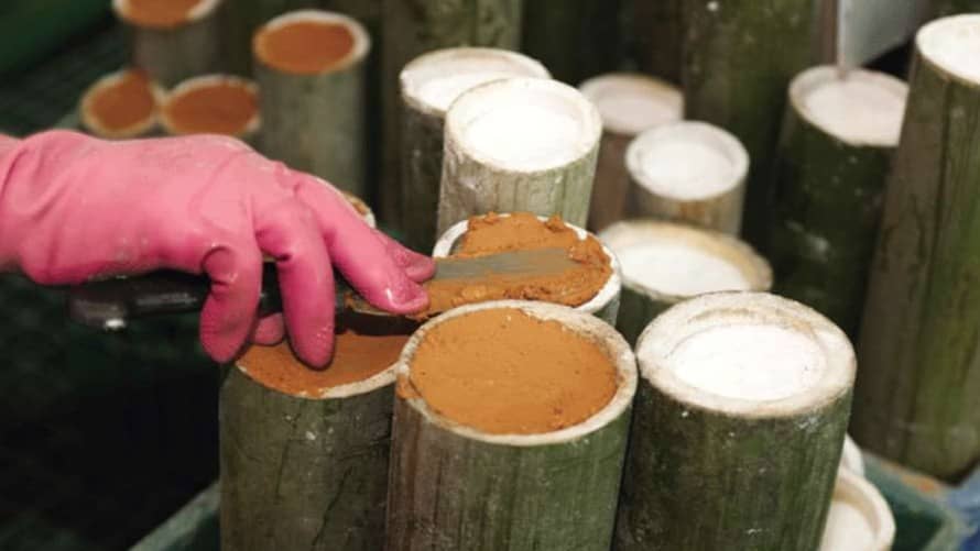 Description of the pic