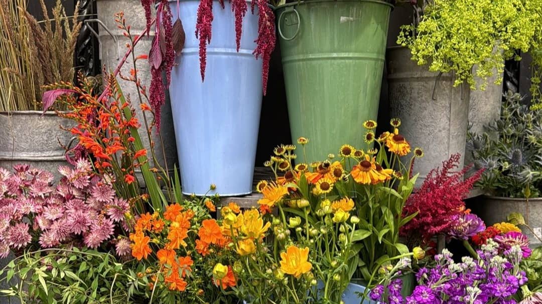 Description of the pic