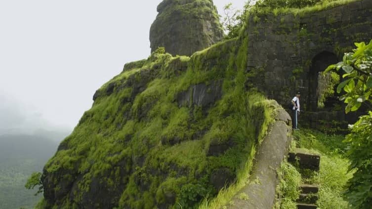 Description of the pic