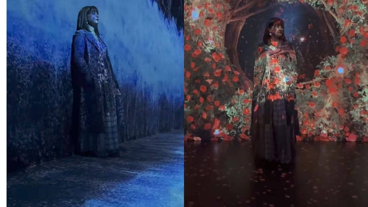 Description of the pic