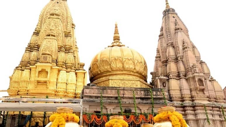 Description of the pic