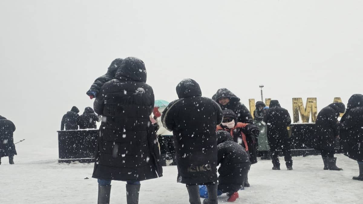 Kashmir Witnesses First Fresh Spell of Snow, Transforming Valleys Into Winter Wonderland | WATCH 