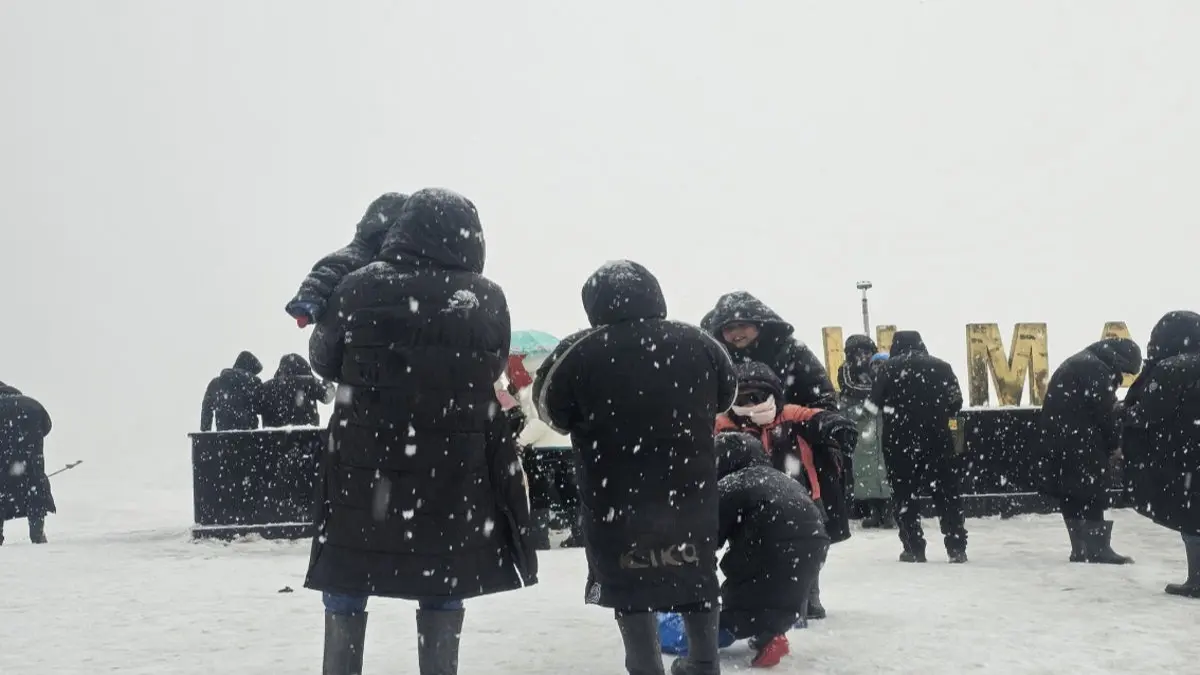 Kashmir Witnesses First Fresh Spell of Snow, Transforming Valleys Into Winter Wonderland | WATCH