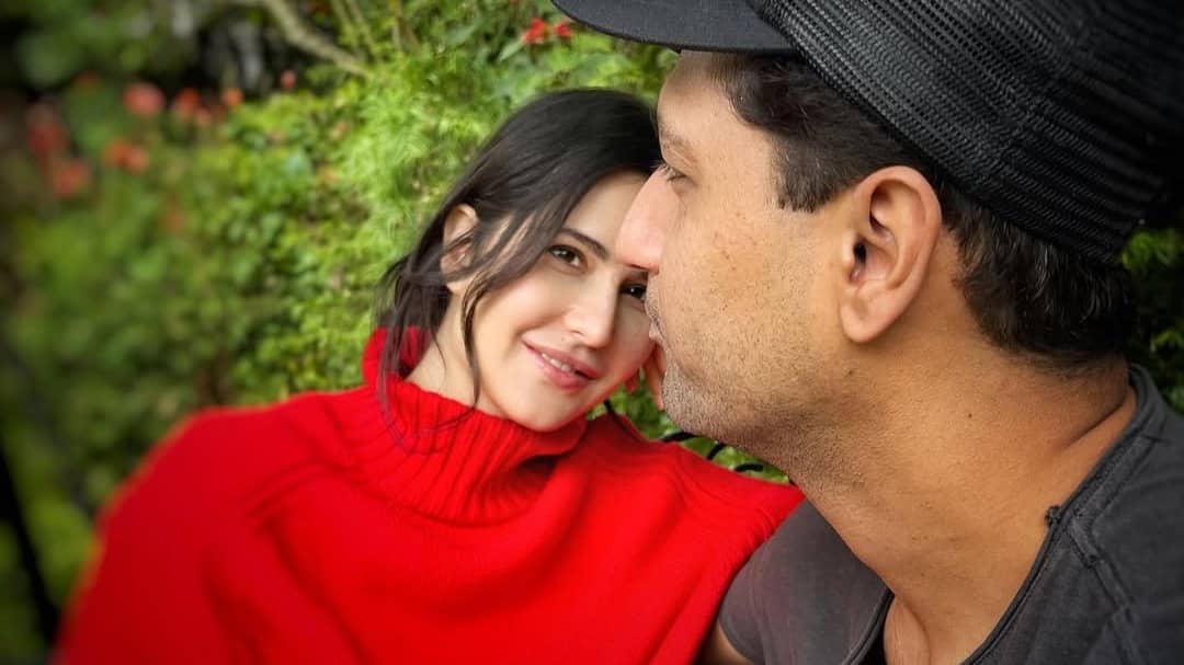 Description of the pic