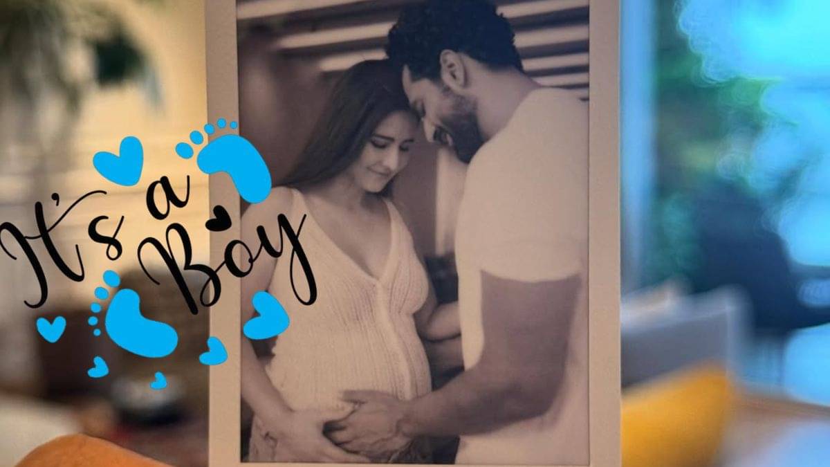 Description of the pic