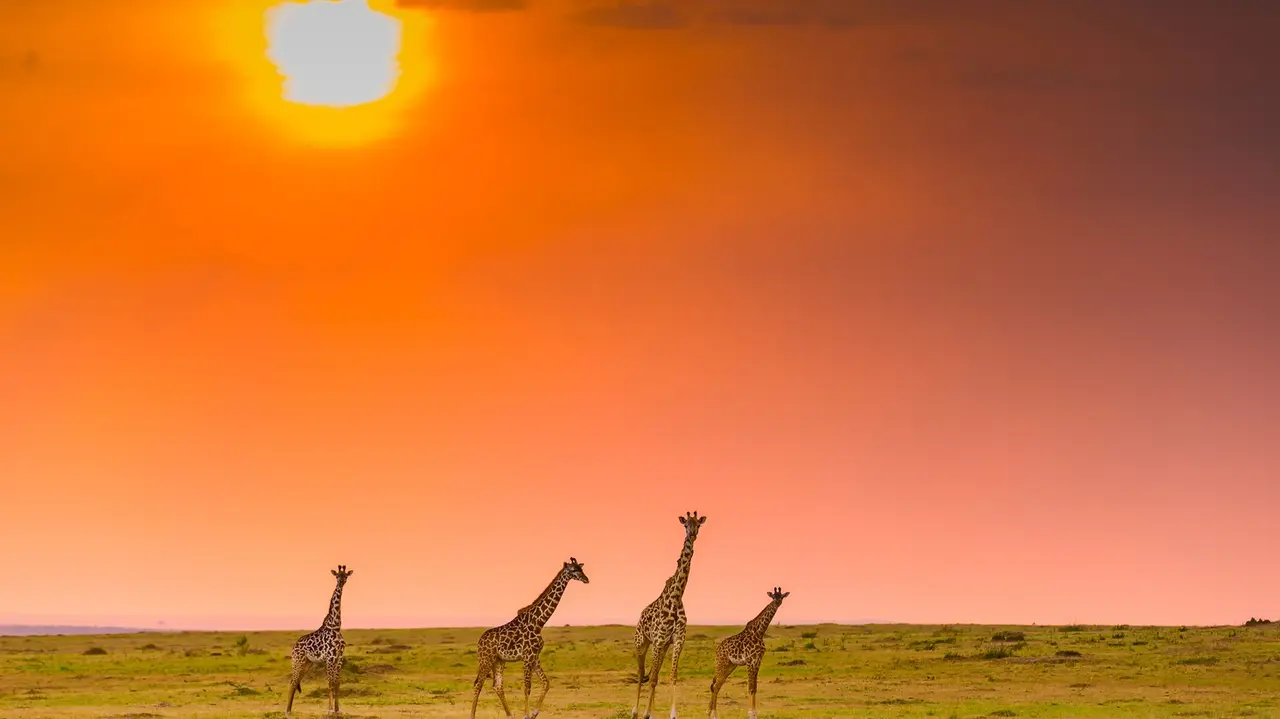 7 Summer Vacation Spots That Strikes The Perfect Balance Between Serene And Scream-Worthy Kenya.