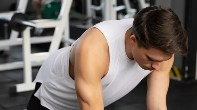 Description of the pic