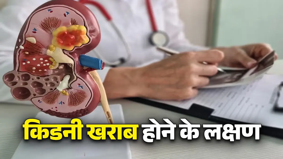 Kidney Disease Symptoms: किडनी खराब होने पर दिखाई देने लगते हैं ये लक्षण, न करें नजरअंदाज; जानें क्या खाएं और क्या नहीं? Kidney Disease Symptoms
