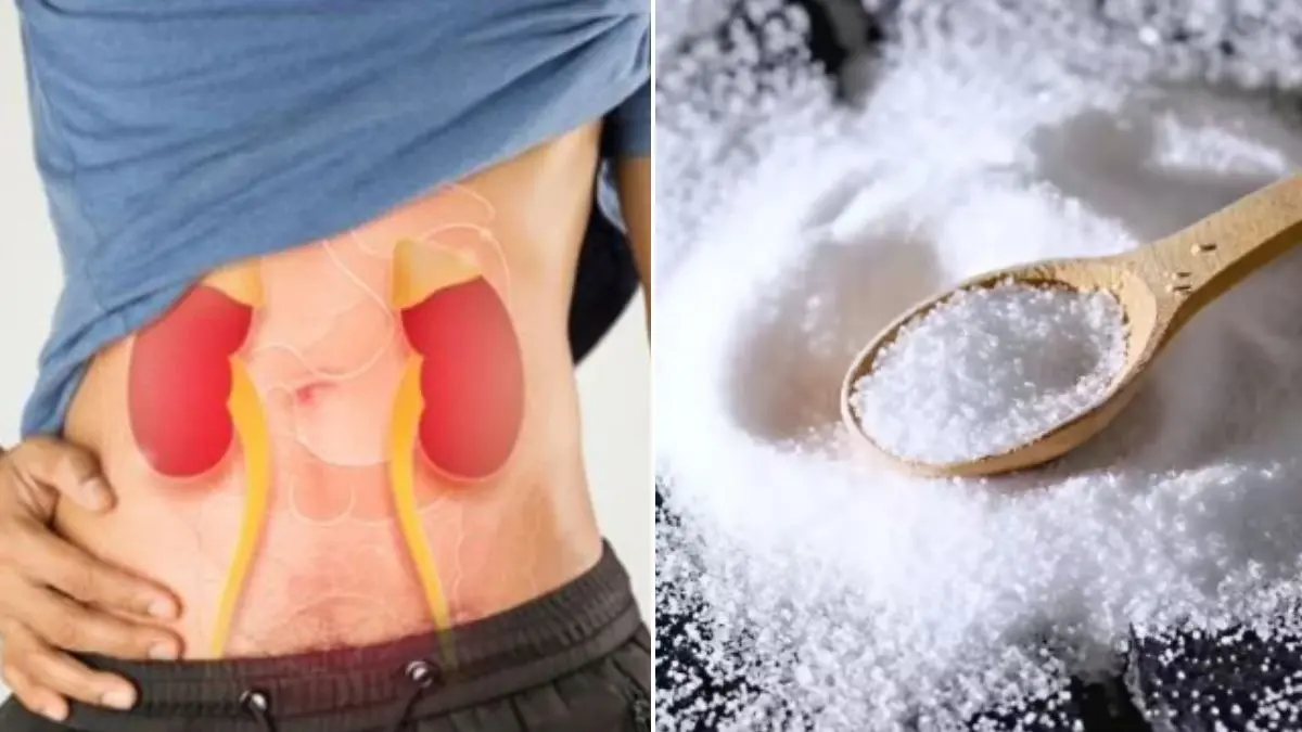 Kidney Care: किडनी के लिए सफेद जहर है नमक, रोजाना की ये आदत अपनाकर बनाएं दूरी; वरना Kidney हो सकती है फेल Kidney Health
