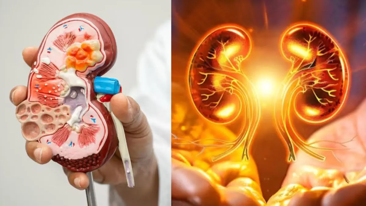 Kidney Health