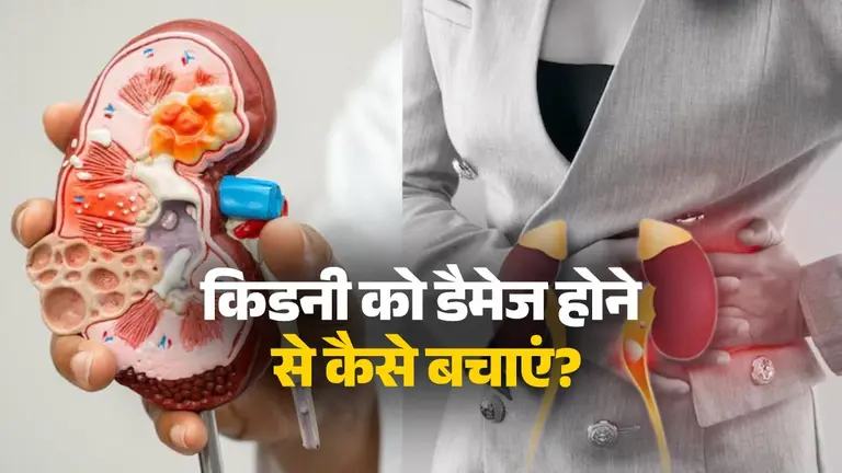 Kidney Health: भूलकर भी न करें ये गलतियां, वरना किडनी हो जाएगी डैमेज kidney-health-tips-daily-mistakes-that-damage-kidney-in-hindi