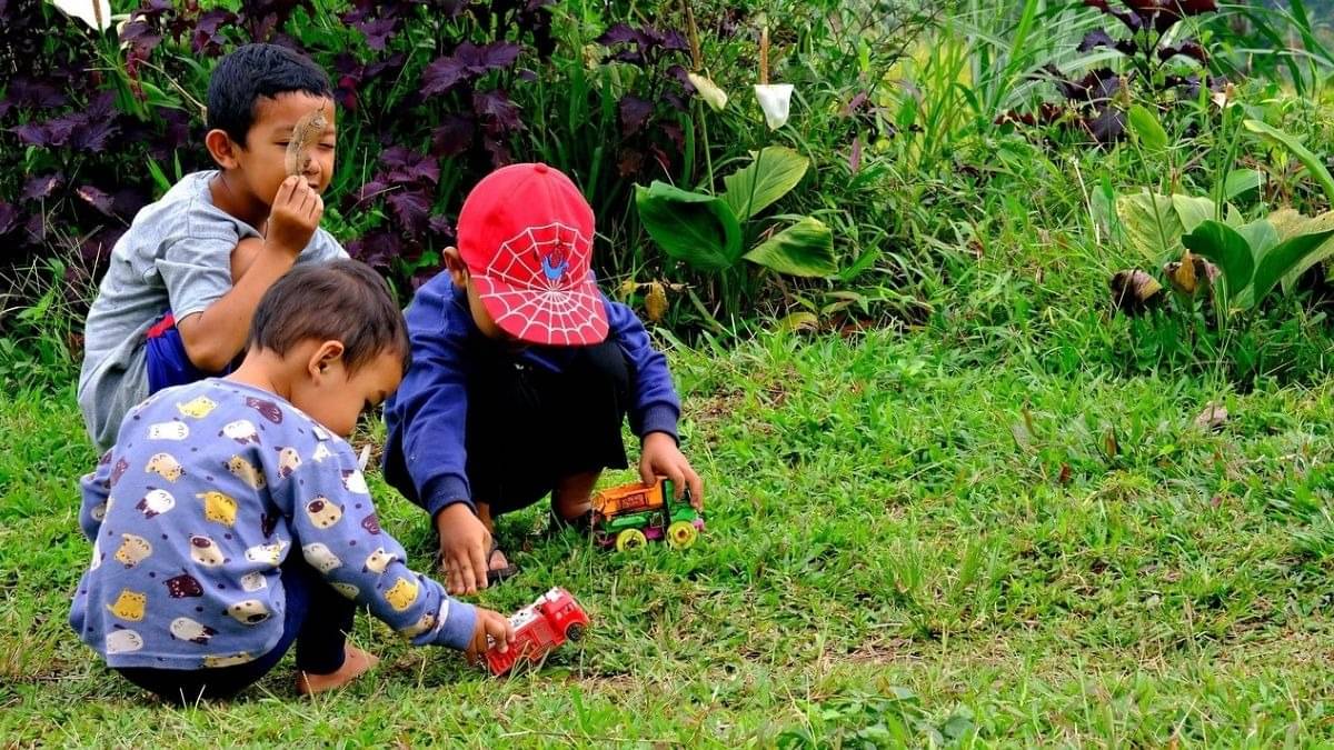 Description of the pic