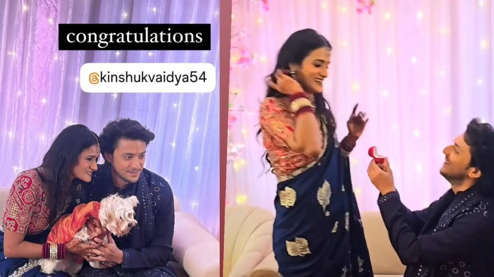 Description of the pic