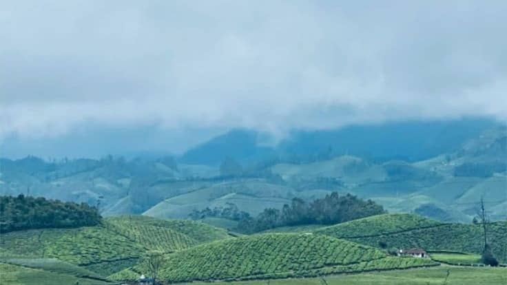 Description of the pic