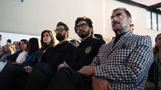 Description of the pic