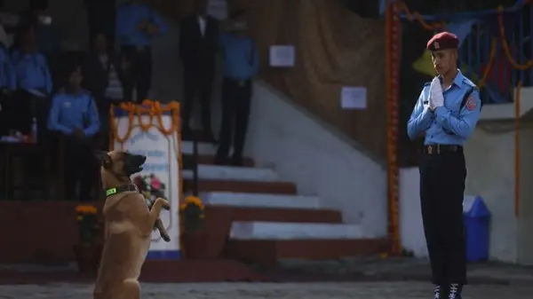 Kukur Tihar 2024: What is the Festival That Celebrates Dogs? Kukur Tihar 2024