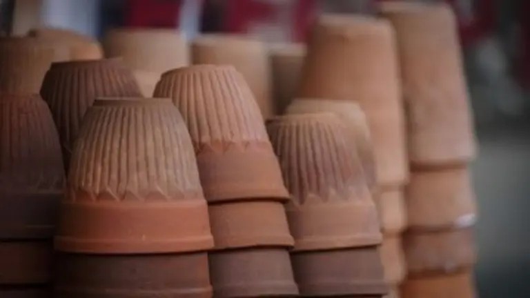 चाय पीते-पीते अगर आपको भी कुल्हड़ खाने की आदत है हो तो सावधान, सेहत को हो सकता है बड़ा नुकसान Kulhad Eating Habit