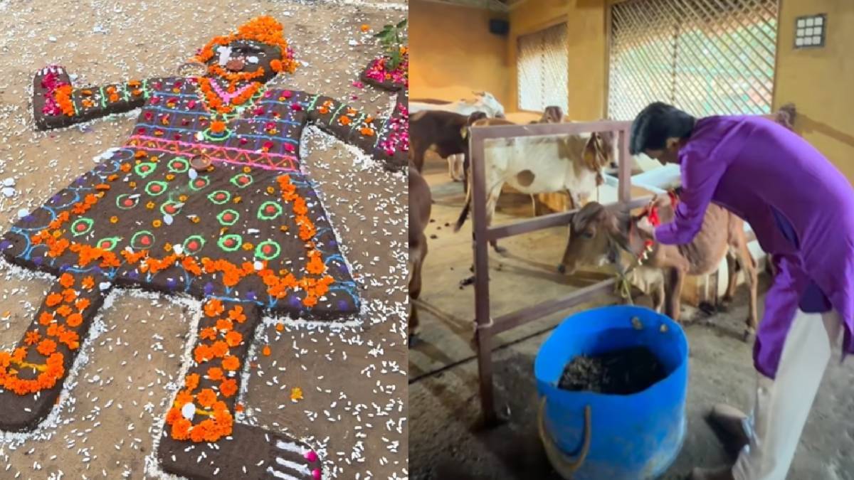 Description of the pic