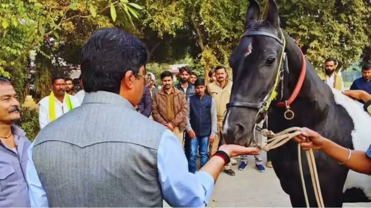 kunda mla raja bhaiya received horse worth rs 1 crore 50 lakh with passport gift and tilak ceremony