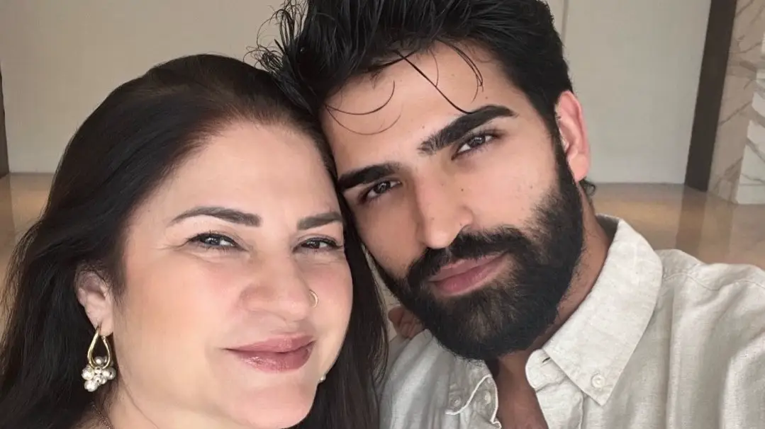 Description of the pic