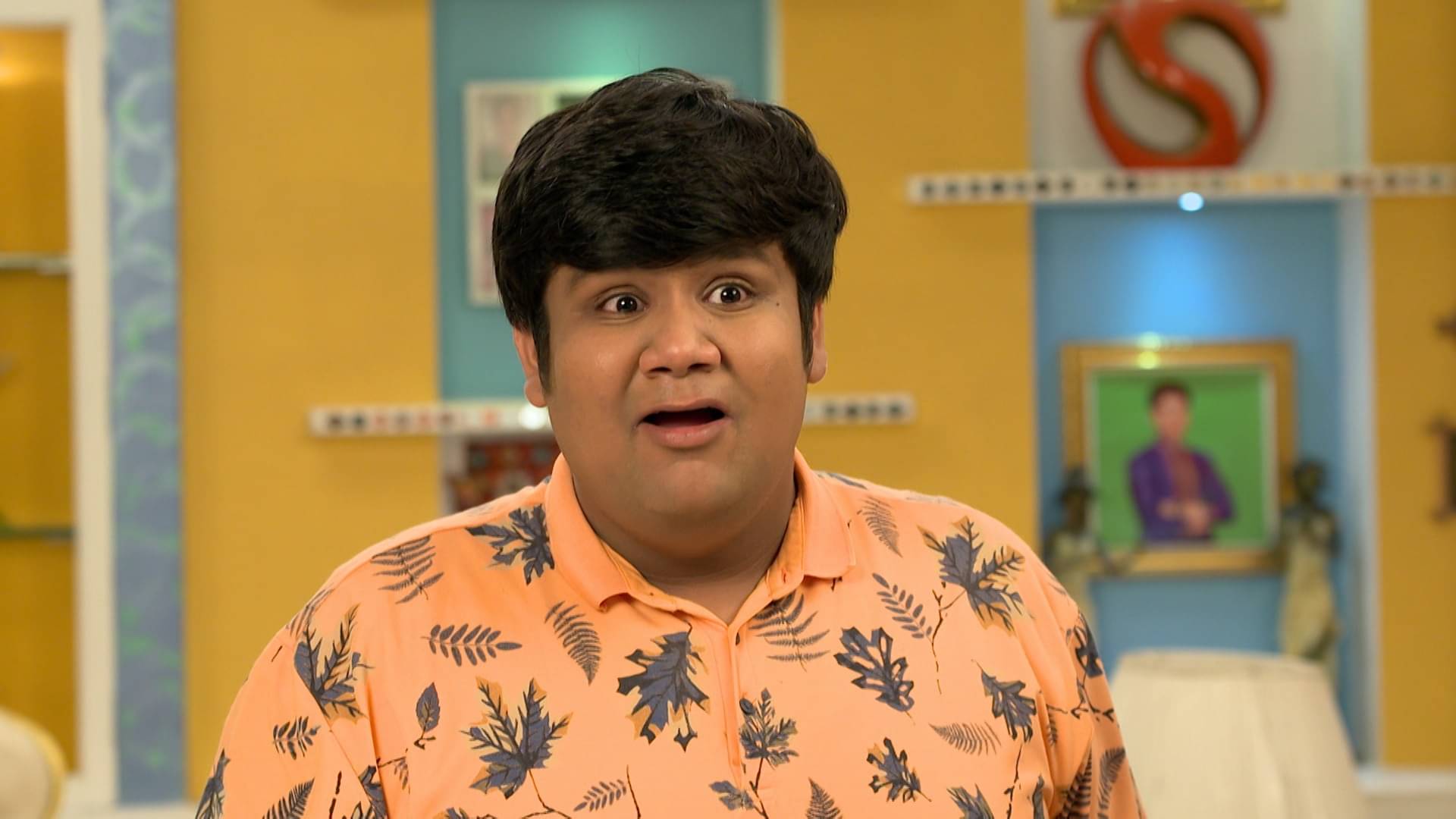 Description of the pic