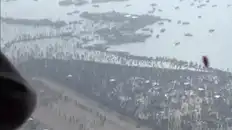 VIDEO: Flower Petals Showered on Saints And Seers Taking Holy Dip at Triveni Sangam After Maha Kumbh Stampede Flower Petal