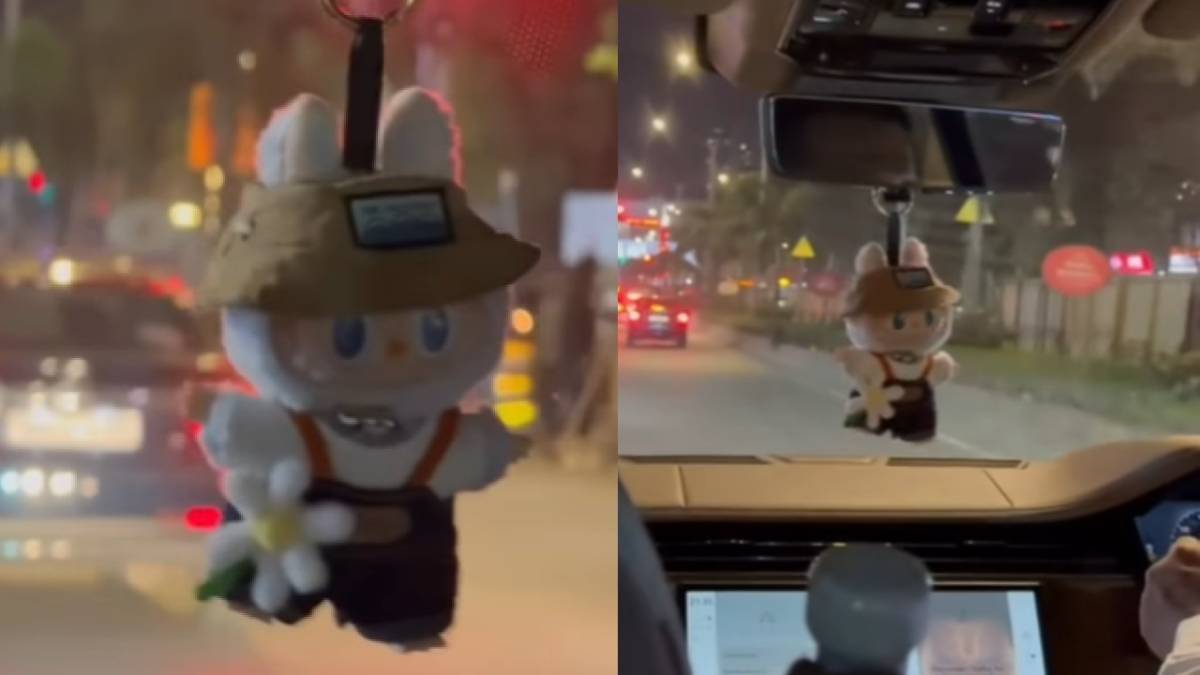 Description of the pic