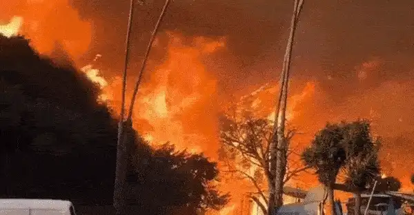 Los Angeles Wildfires LIVE