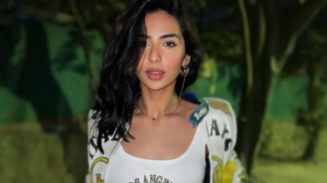 Description of the pic