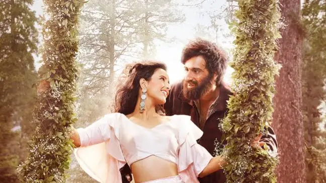 Description of the pic