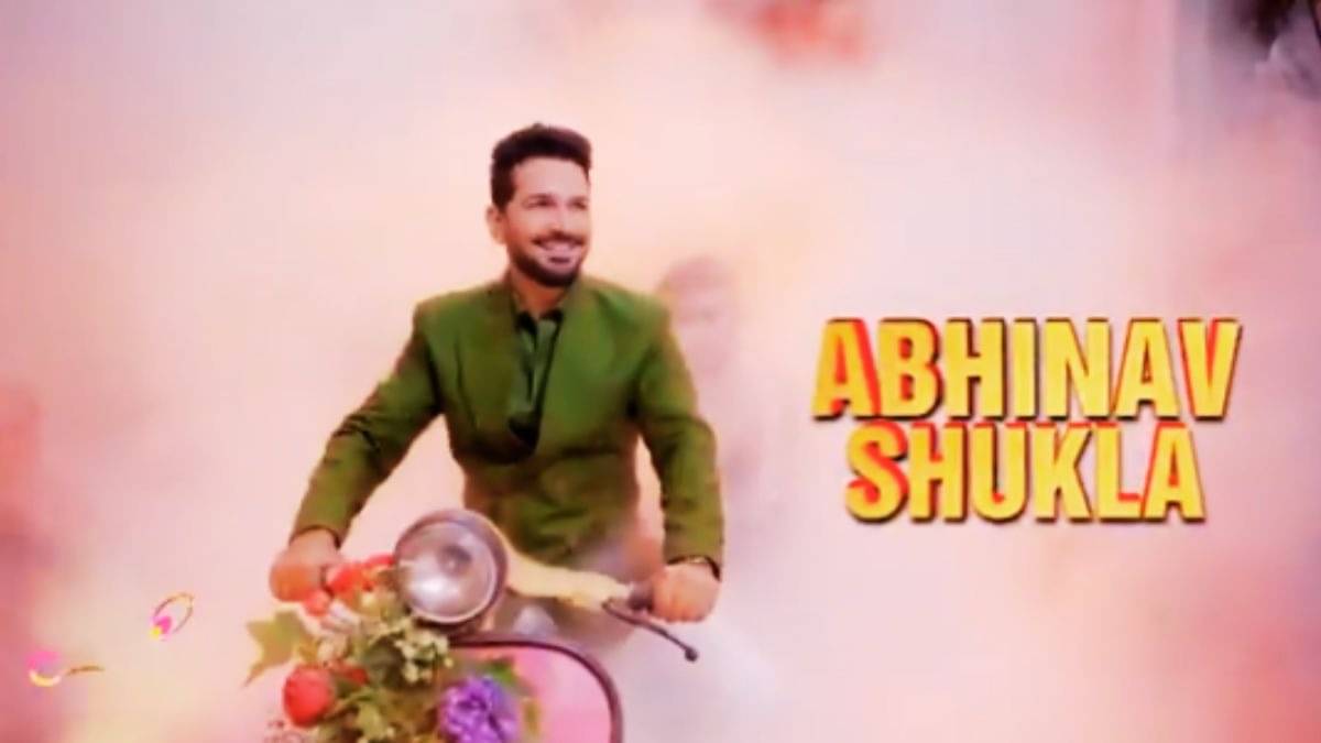 Description of the pic