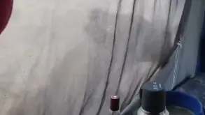 Lion in forest camp, viral video