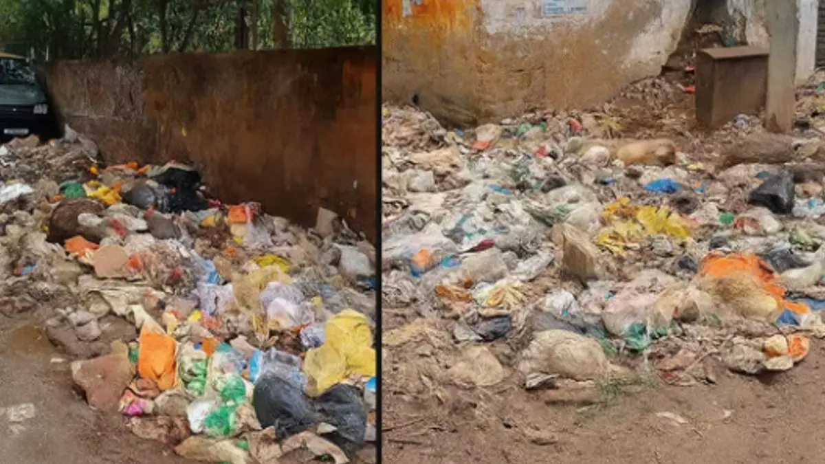 'Live like animals in pig house': French Woman's Outrage On Gurgaon's Sanitation Hits A Chord