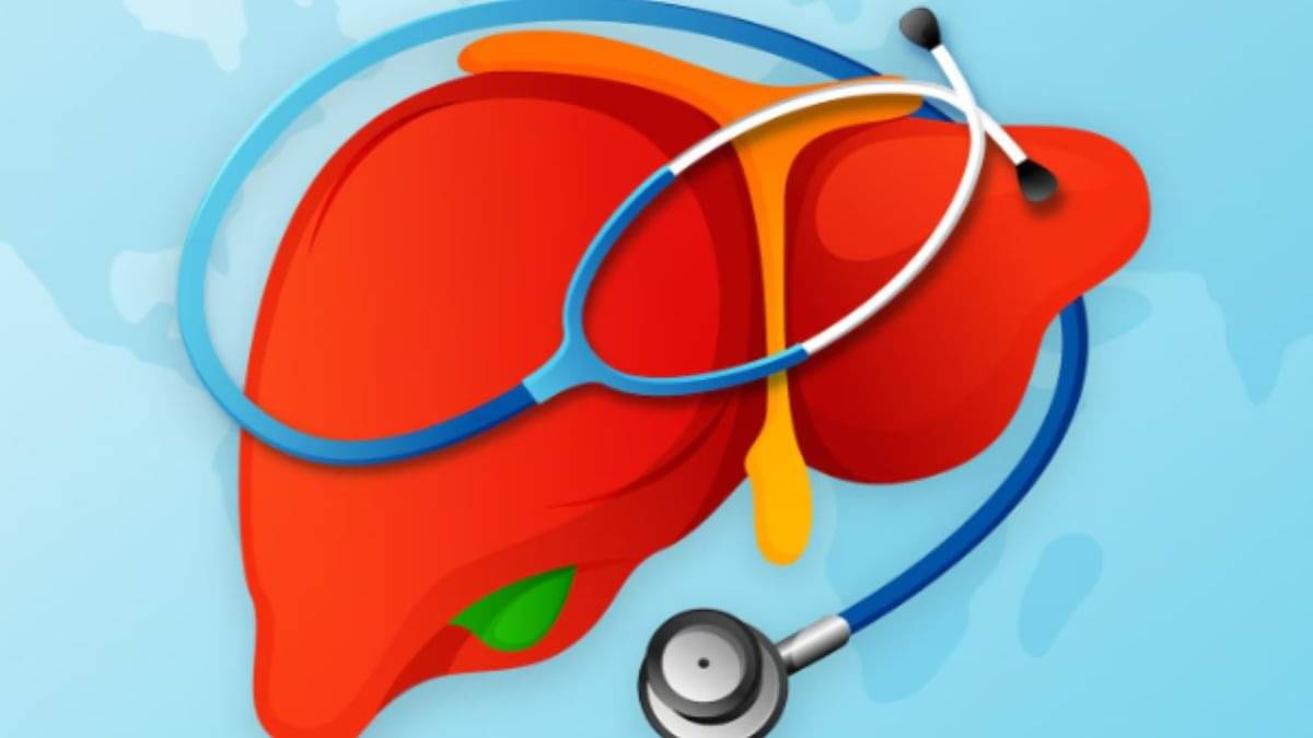 Liver