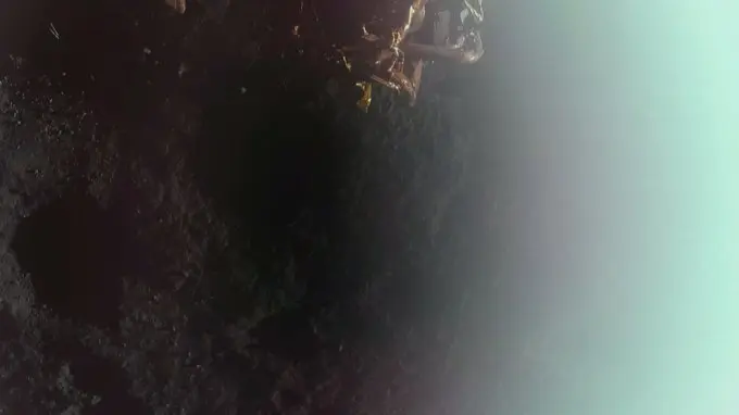 'Look At That View': Firefly Aerospace's Blue Ghost Captures First Image on Moon