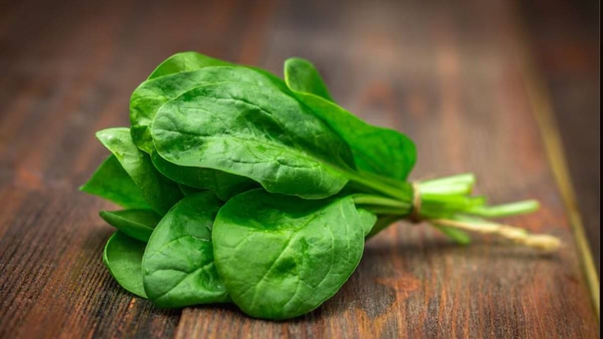 Description of the pic