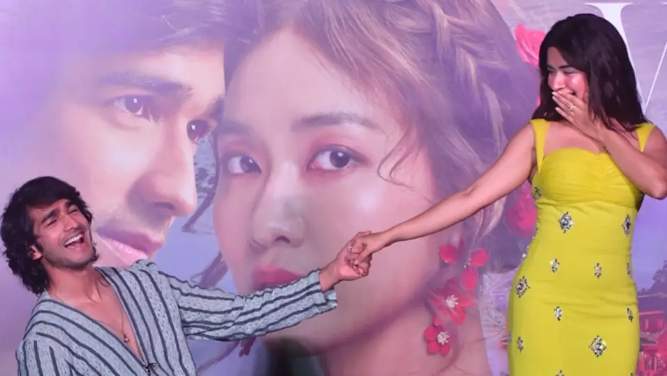 Description of the pic