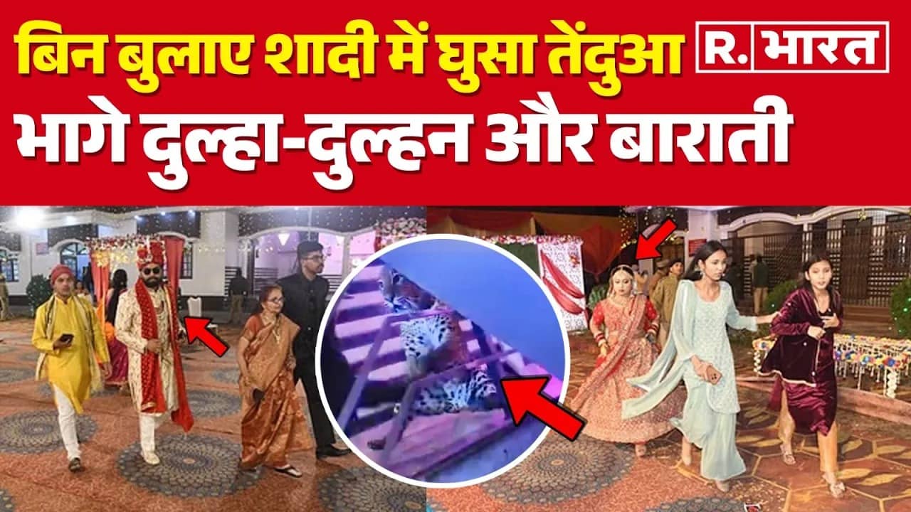 Lucknow lepord attack