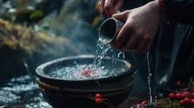 Description of the pic