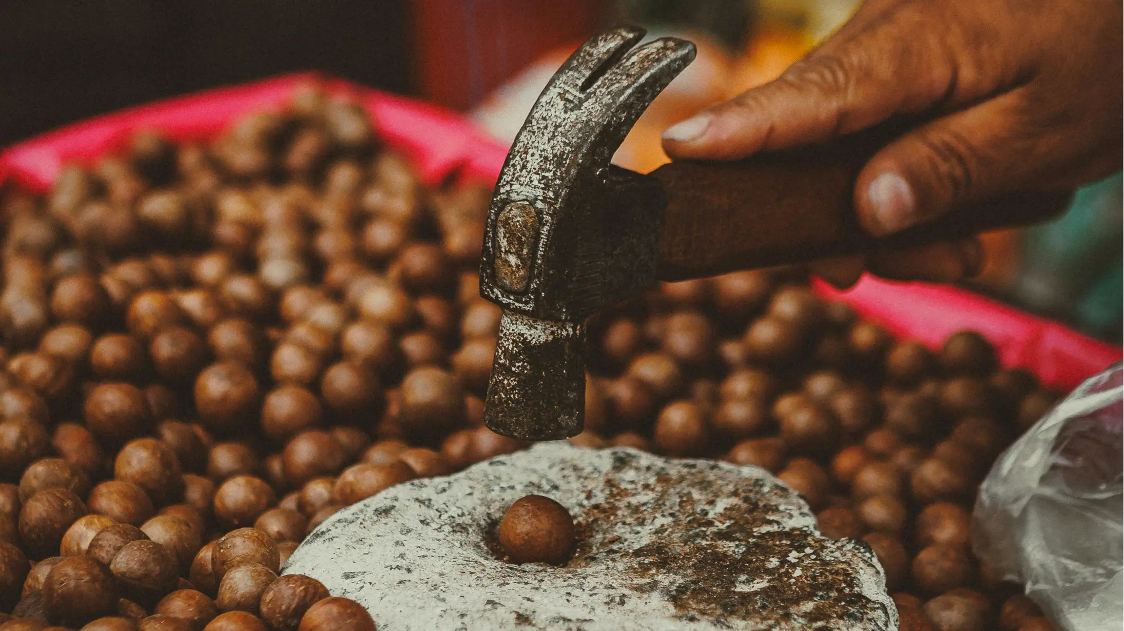 5 Types Of Nuts To Boost Energy And Reduce High Cholesterol Risk