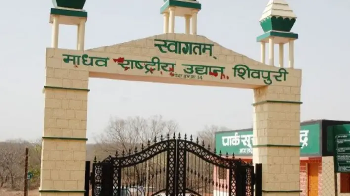 Madhav National Park to Be Designated as Tiger Reserve Soon, says MP CM Mohan Yadav Madhav National Park to be designated as tiger reserve soon, says MP CM Mohan Yadav