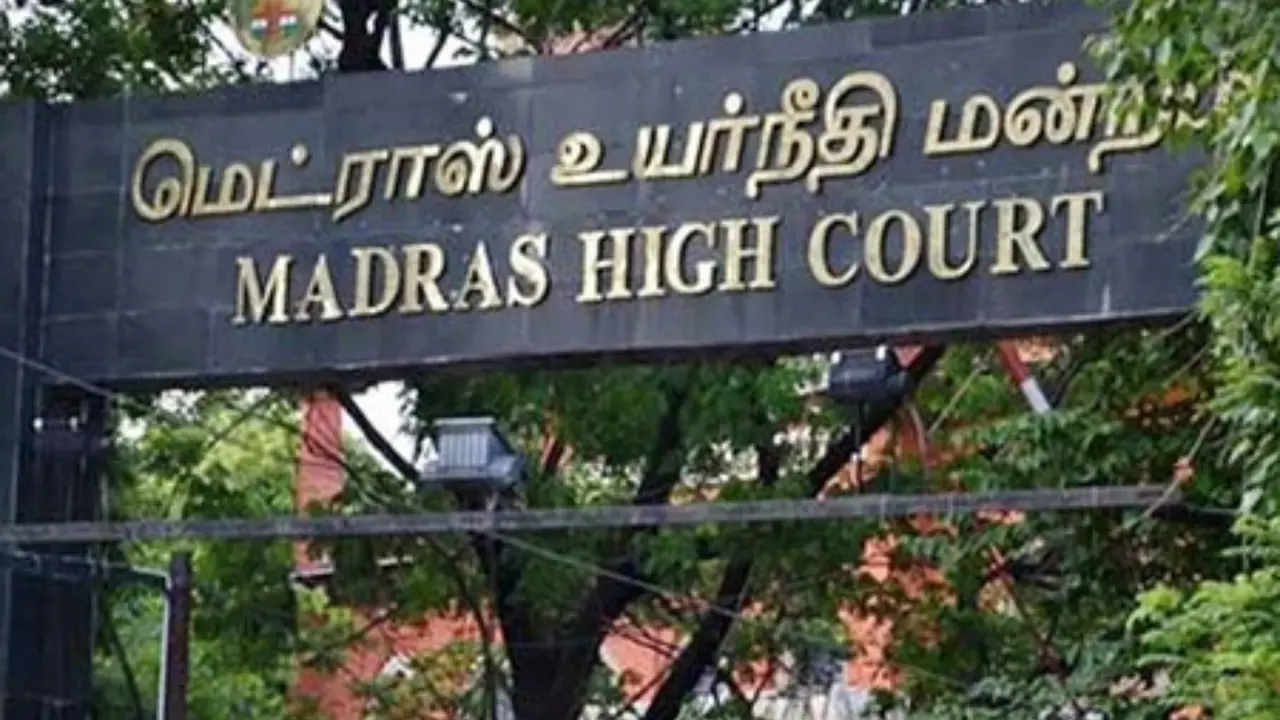 Madras High Court Orders Tamil Nadu Govt to Act on Stray Animal Menace Madras High Court