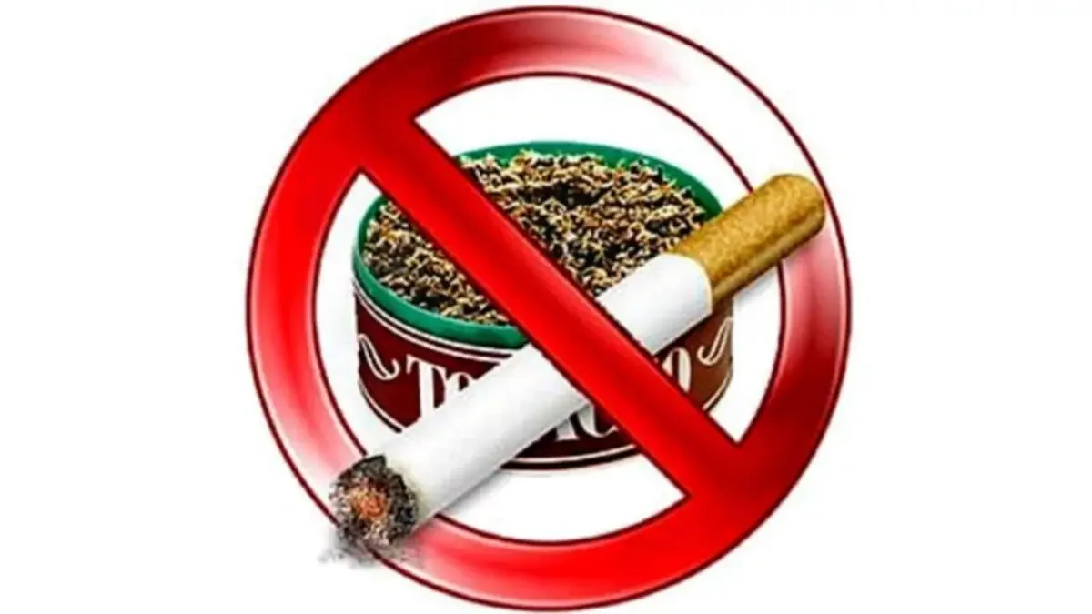 Maharashtra Government Asserts 'Zero Tolerance' For Drug And Tobacco Sales Near School Premises