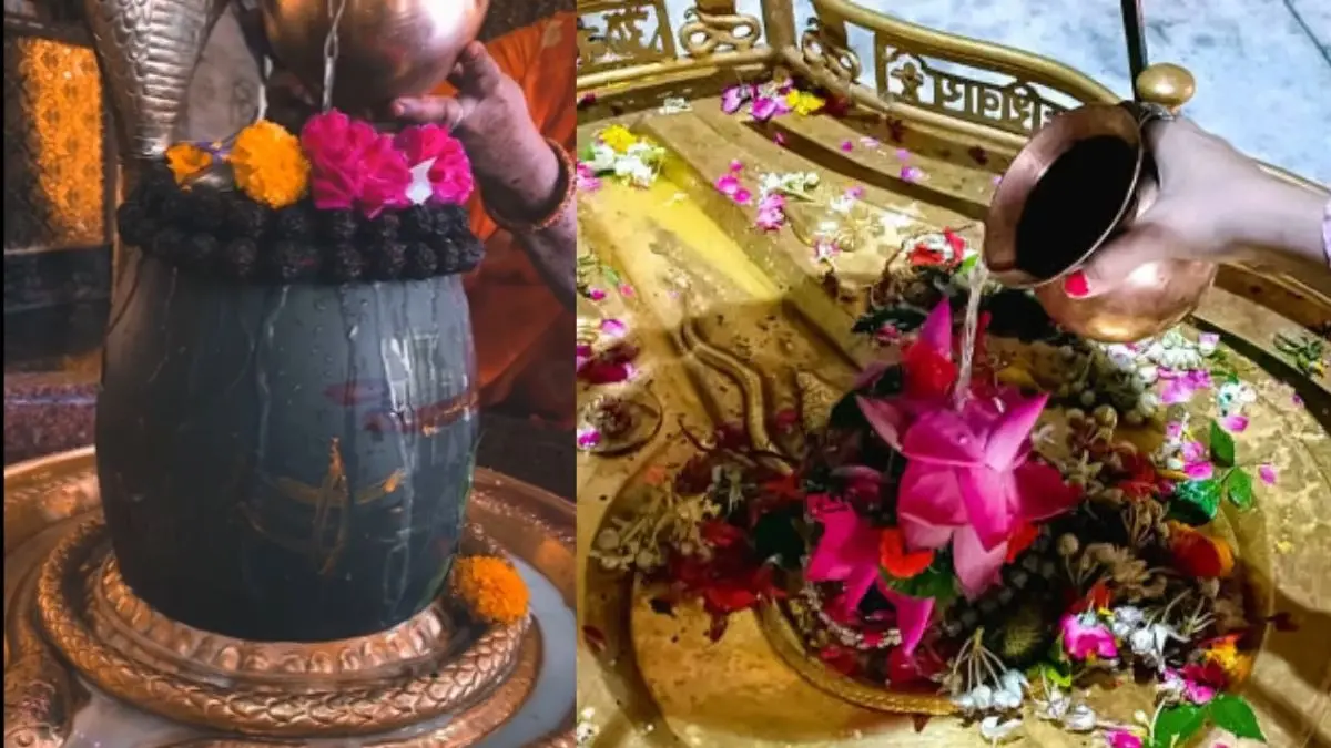 Mahashivratri 2026: महाशिवरात्रि के दिन मंदिर से जरूर लाएं ये चीजें, विवाह के बनेंगे योग; जीवन में आएंगी खुशियां Mahashivratri 2026