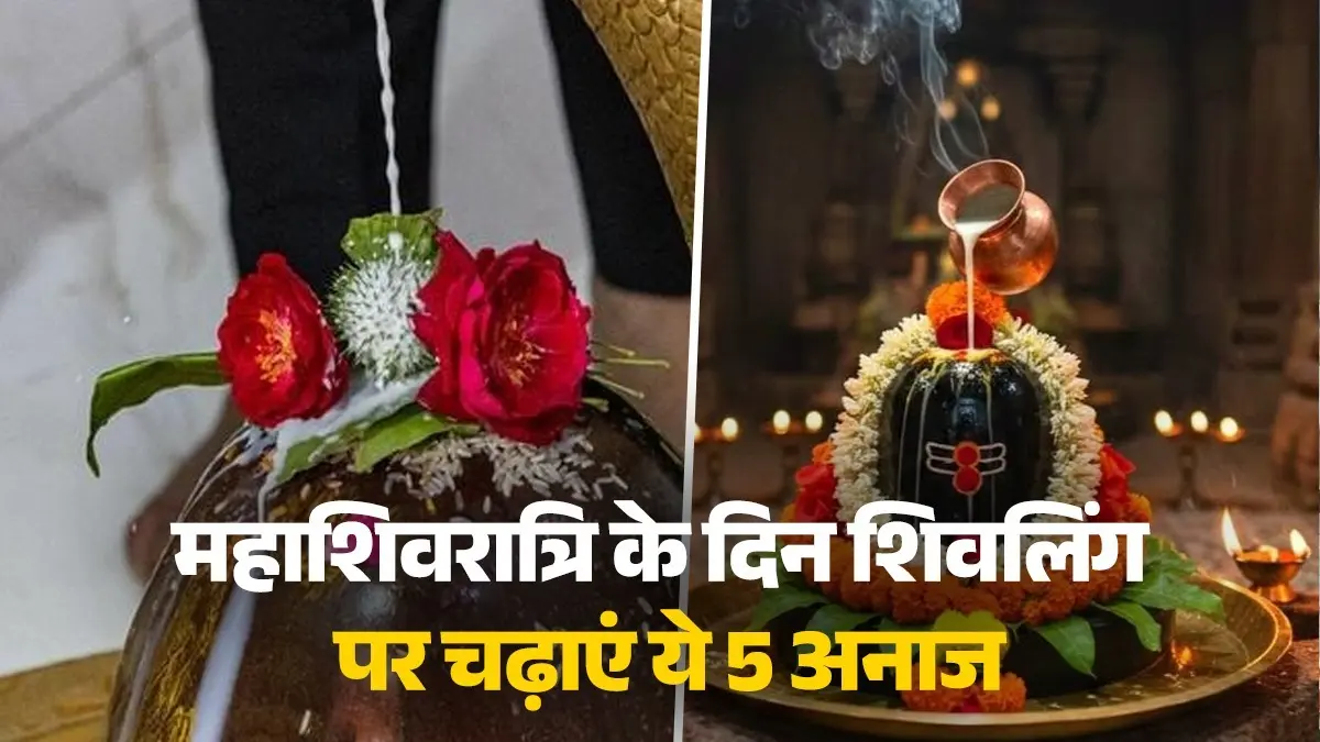 Mahashivratri 2026: महाशिवरात्रि के दिन शिवलिंग पर जरूर चढ़ाएं ये 5 अनाज, आर्थिक तंगी से मिलेगा छुटकारा Mahashivratri 2026