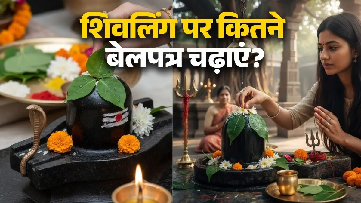 Mahashivratri 2026 Belpatra: महाशिवरात्रि के दिन शिवलिंग पर कितने बेलपत्र चढ़ाएं? जानें सही तरीका Mahashivratri 2026 Belpatra