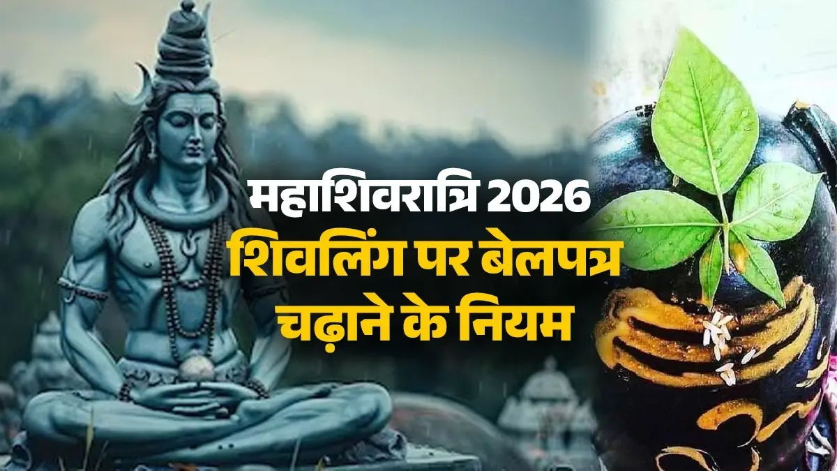 Mahashivratri 2026 Bel Patra: शिवलिंग पर बेलपत्र चढ़ाते समय न करें ये गलतियां, वरना अधूरा रह जाएगा फल; जानें बिल्वपत्र चढ़ाने के सही तरीका mahashivratri 2026 how to offer bel patra to shivling par bel patra chadane ke niyam lord shiva blessings